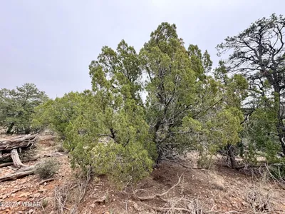 Thumbnail 30