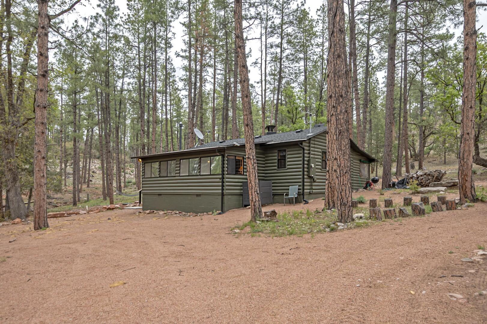 375 W Diamond Road, Payson, AZ 85541 — Photo 1 of 31