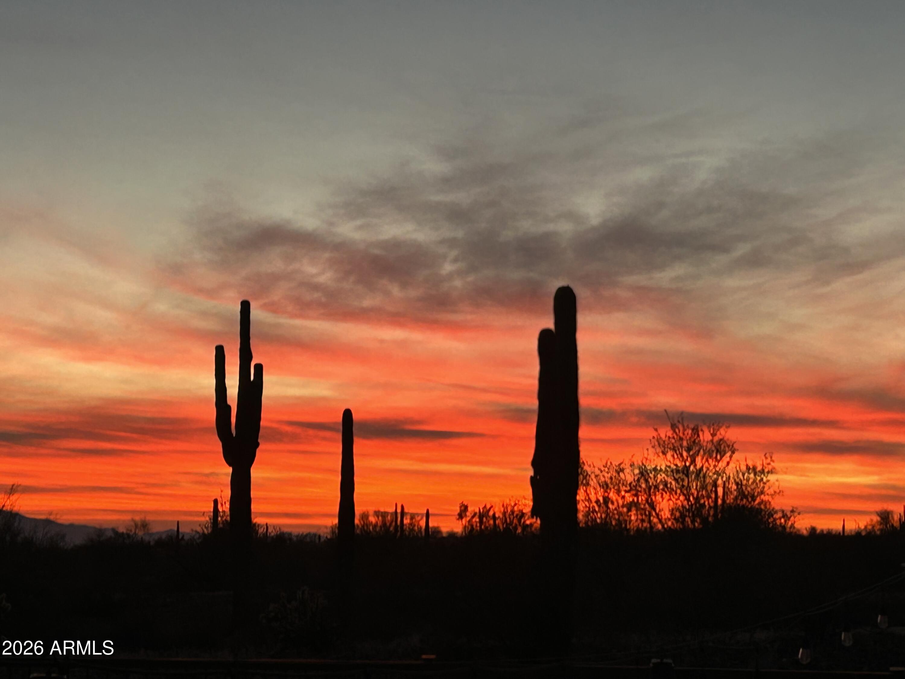 Thumbnail 115