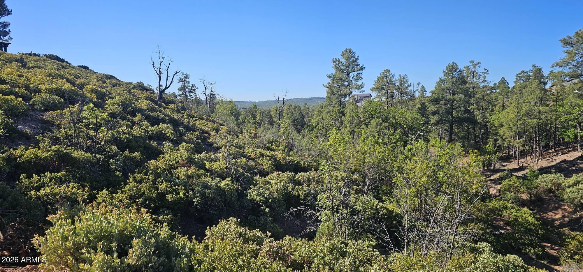 6303 Deer Run Road 398, Show Low, AZ 85901 — Photo 1 of 12