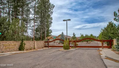 5370 S Morgan Mountain Drive, Show Low, AZ 85901