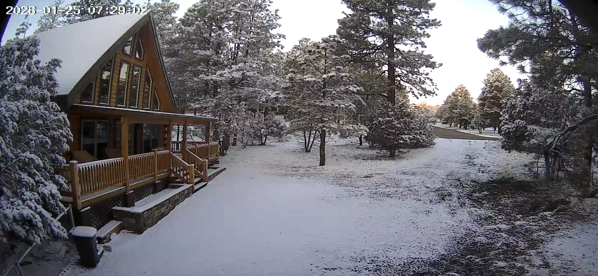 2905 Lodgepole Road, Overgaard, AZ 85933