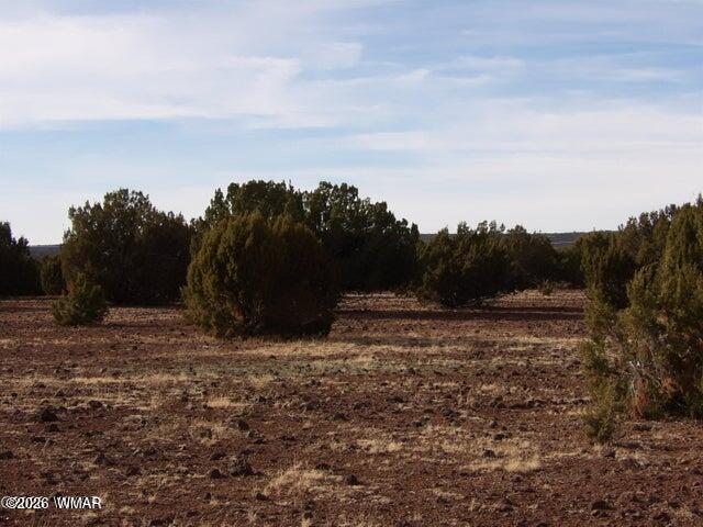 126 N3411, Vernon, AZ 85940 — Photo 1 of 5