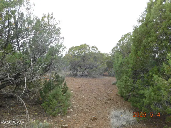 8333 Ridge Drive, Show Low, AZ 85901