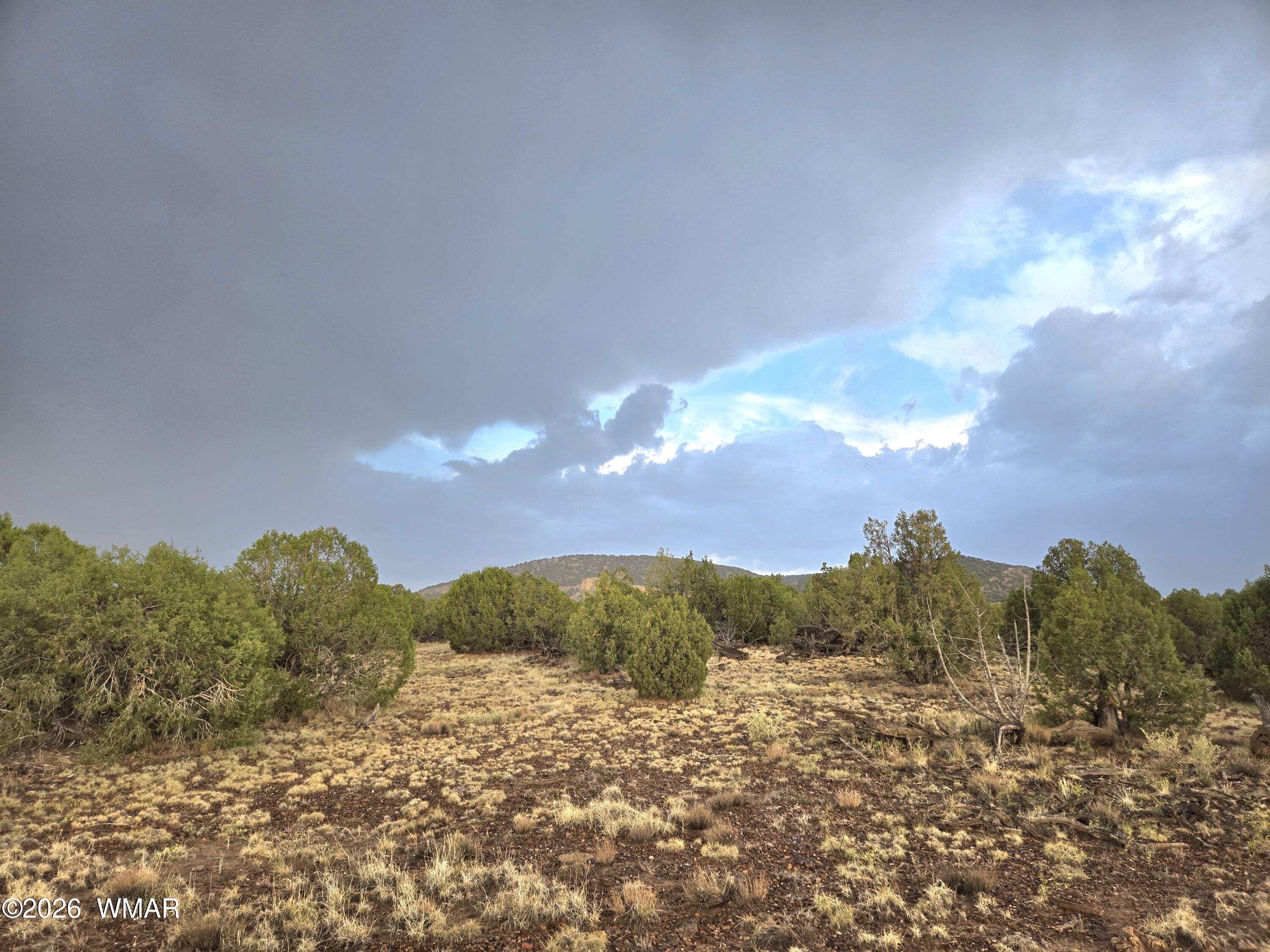 Lot 9 Pinon Valley Ranch, Concho, AZ 85924 — Photo 1 of 12