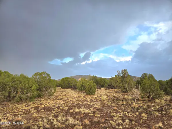 Lot 9 Pinon Valley Ranch, Concho, AZ 85924