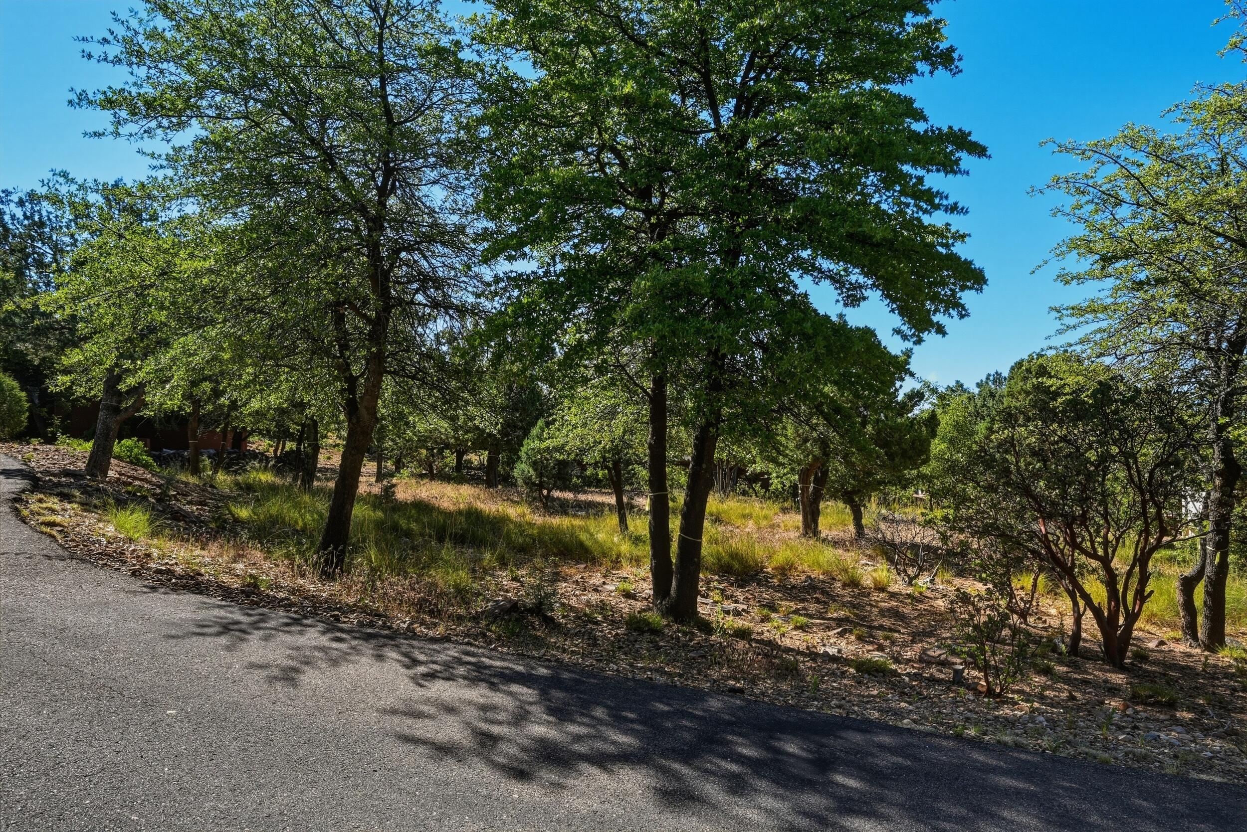 6695 Buffalo Run, Pine, AZ 85544 — Photo 1 of 11