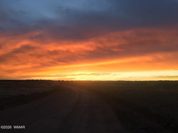 102 County Road N 6287, St. Johns, AZ 85936