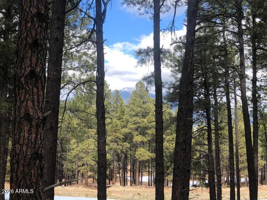 9410 Coyote Pass -, Flagstaff, AZ 86001 — Photo 1 of 6