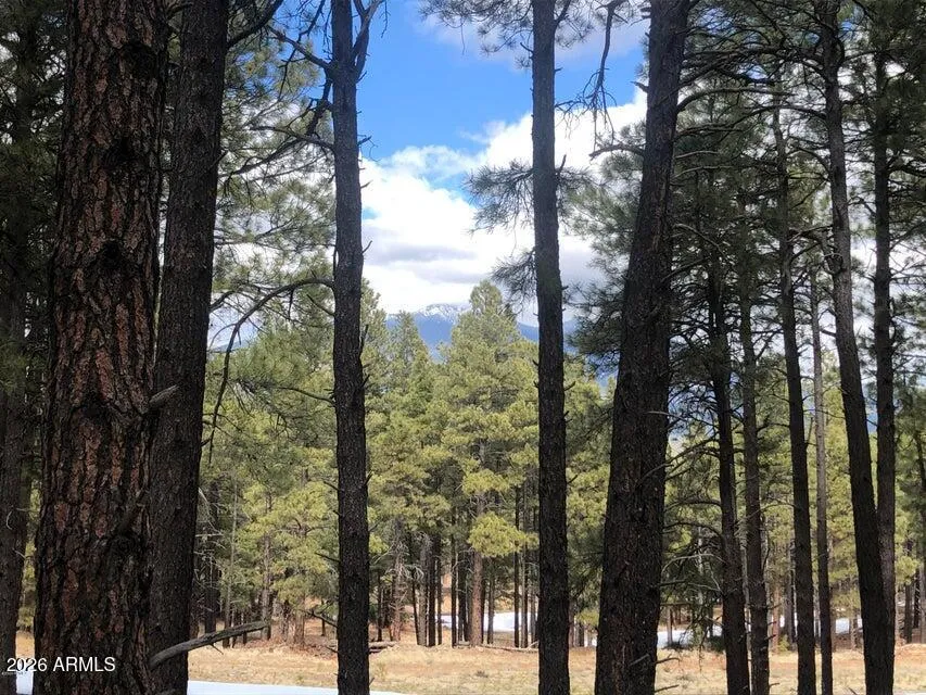 9410 Coyote Pass -, Flagstaff, AZ 86001 — Photo 1 of 6