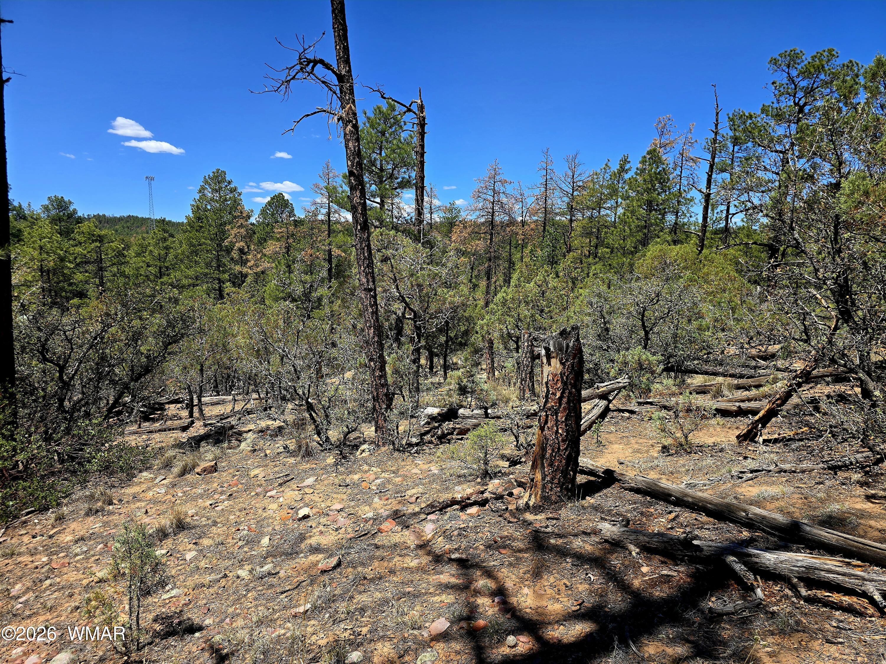2953 S White Mountain, Show Low, AZ 85901
