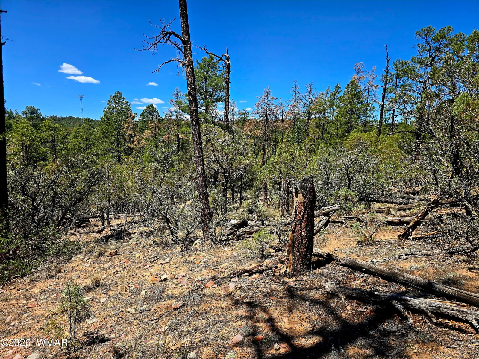 2953 S White Mountain, Show Low, AZ 85901 — Photo 1 of 13