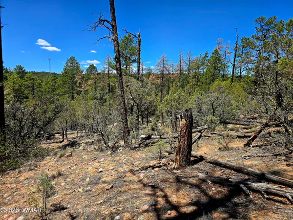 2953 S White Mountain, Show Low, AZ 85901