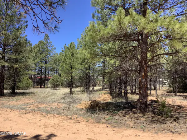 TBD Cedar Bark Trail, Overgaard, AZ 85933