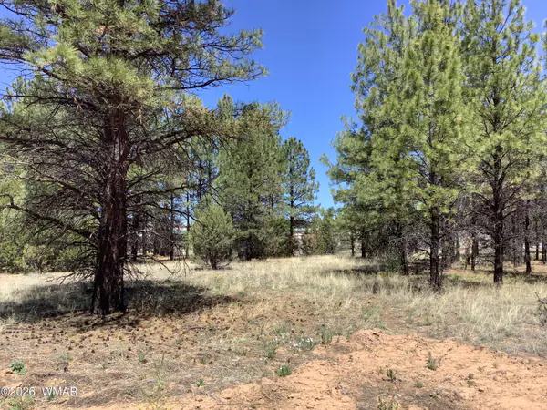 TBD Cedar Bark Trail, Overgaard, AZ 85933
