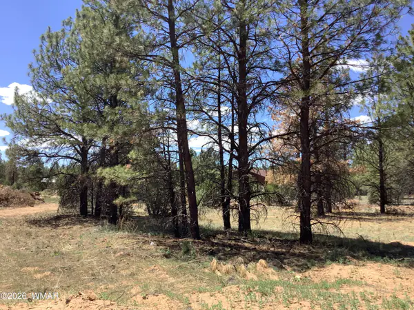 TBD Cedar Bark Trail, Overgaard, AZ 85933