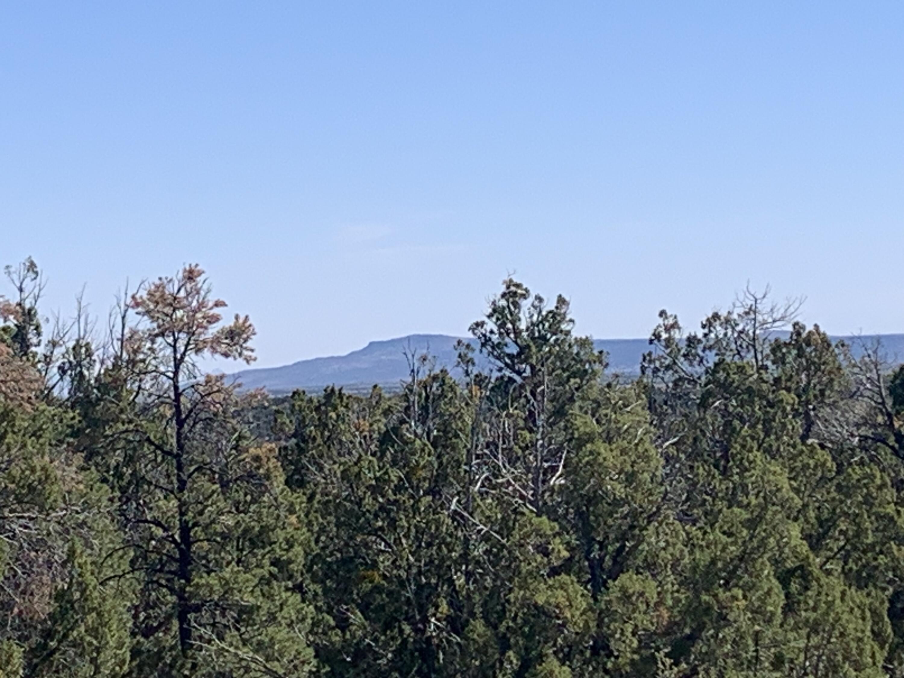 3621 Meadow Wood Drive, Happy Jack, AZ 86024 — Photo 1 of 12