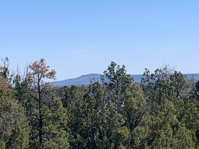 3621 Meadow Wood Drive, Happy Jack, AZ 86024