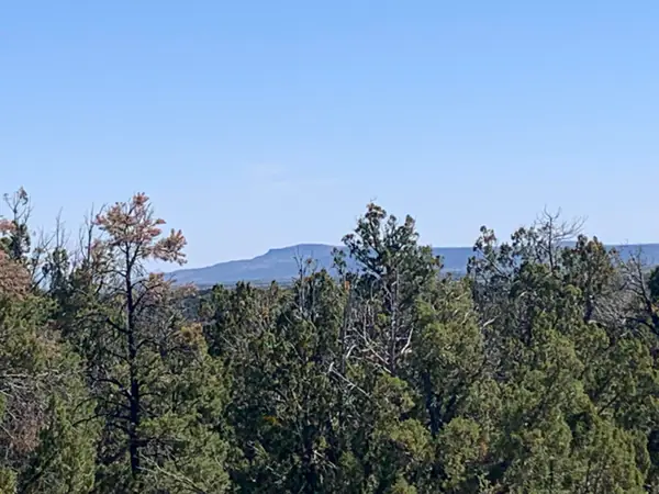 3621 Meadow Wood Drive, Happy Jack, AZ 86024