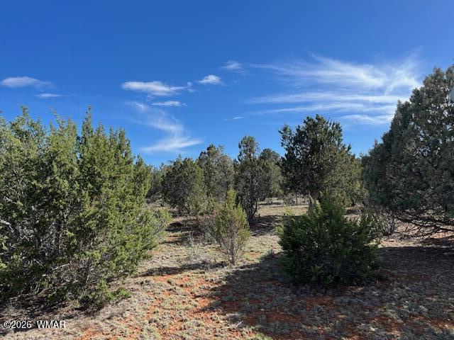 2277 Sunrise Road, Overgaard, AZ 85933