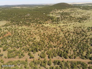 TBD N3263 Parcel 1, Vernon, AZ 85940 — Photo 1 of 1