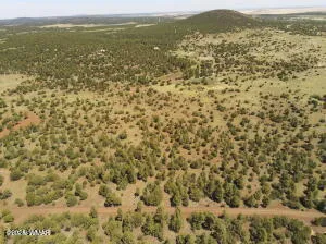 TBD N3263 Parcel 1, Vernon, AZ 85940
