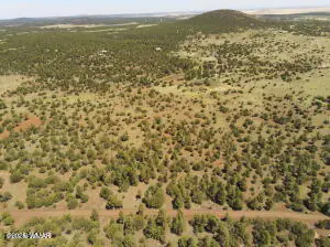 TBD N3263 Parcel 1, Vernon, AZ 85940