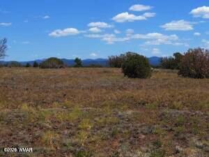 8523 Bobcat Drive, 8523, 8529 Bobcat Drive, Show Low, AZ 85901