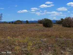 8523 Bobcat Drive, 8523, 8529 Bobcat Drive, Show Low, AZ 85901