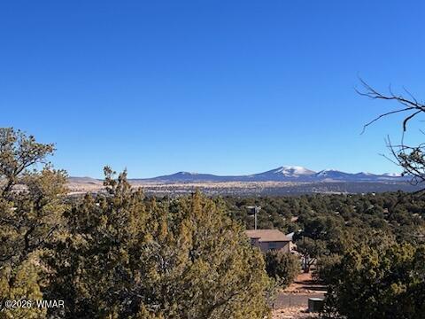 Lot 002P N8689, Concho, AZ 85924 — Photo 1 of 25