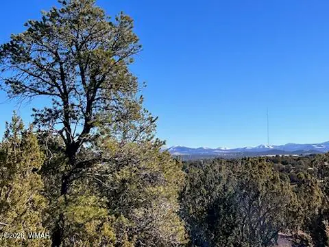Lot 1C N8689, Concho, AZ 85924, photo 5 of 23