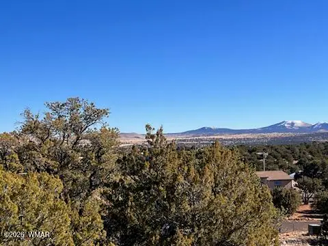 Lot 1C N8689, Concho, AZ 85924, photo 8 of 23