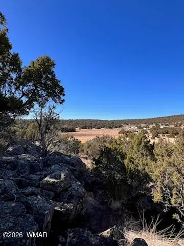 Lot 1C N8689, Concho, AZ 85924, photo 9 of 23