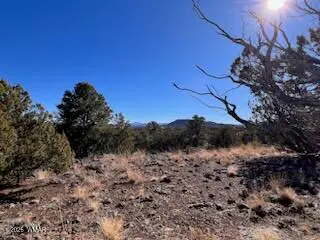 Lot 1C N8689, Concho, AZ 85924, photo 11 of 23
