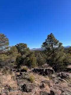 Lot 1C N8689, Concho, AZ 85924, photo 15 of 23