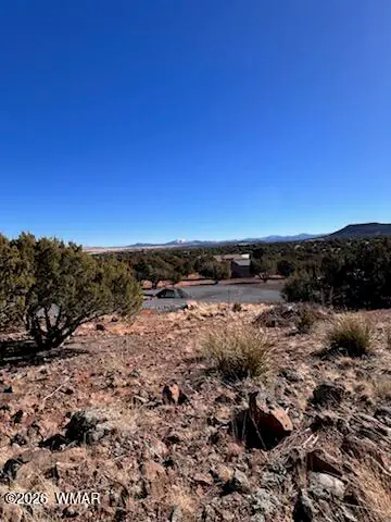 Lot 1C N8689, Concho, AZ 85924, photo 7 of 23