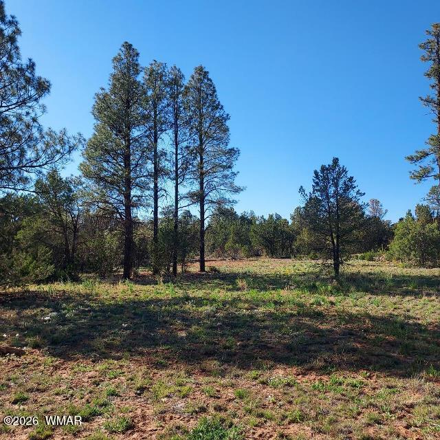 3120,3122 Whitetail Way, Overgaard, AZ 85933 — Photo 1 of 7