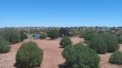 Thumbnail 66