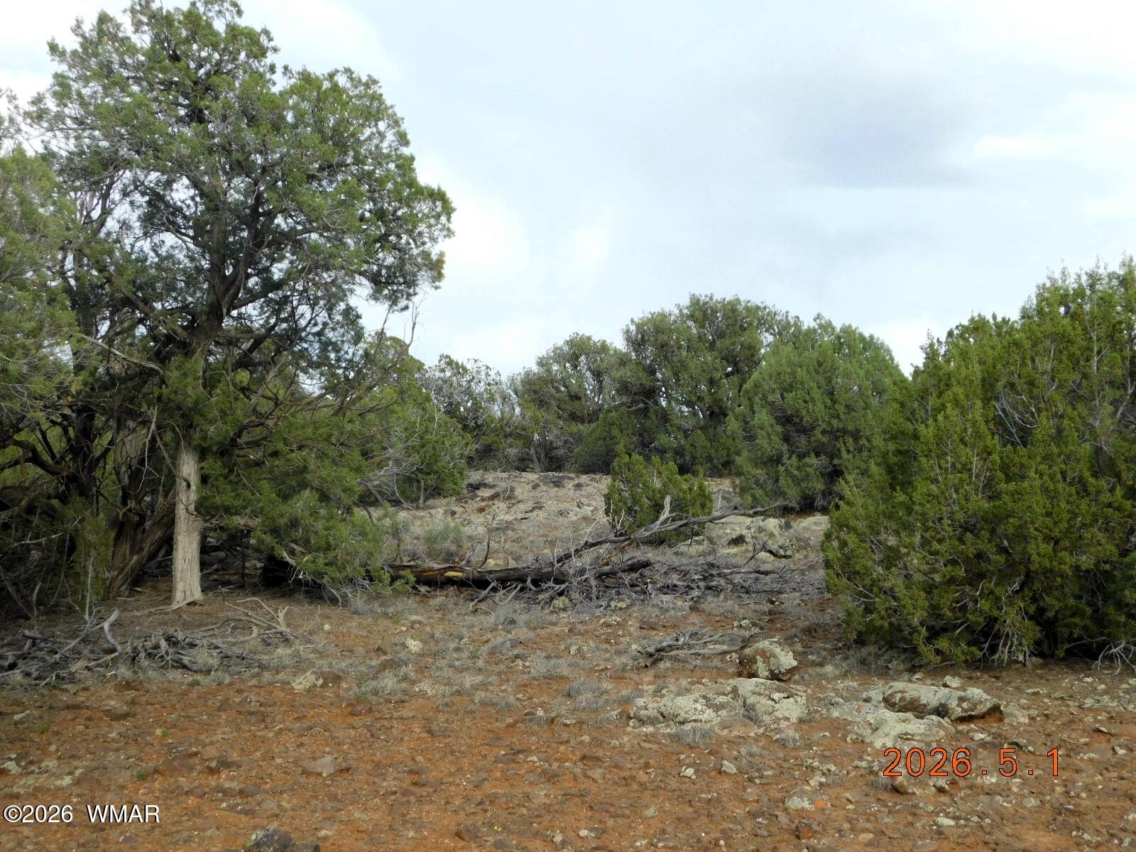 2122 Dawn Place, Marken Ranch Road, Show Low, AZ 85901
