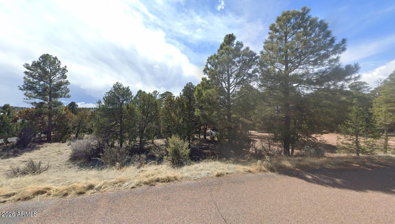 2223 FAIRWAY Drive 16, Overgaard, AZ 85933 — Photo 1 of 3