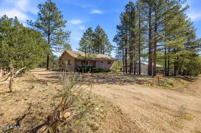 1924 Little Doe Trail, Overgaard, AZ 85933