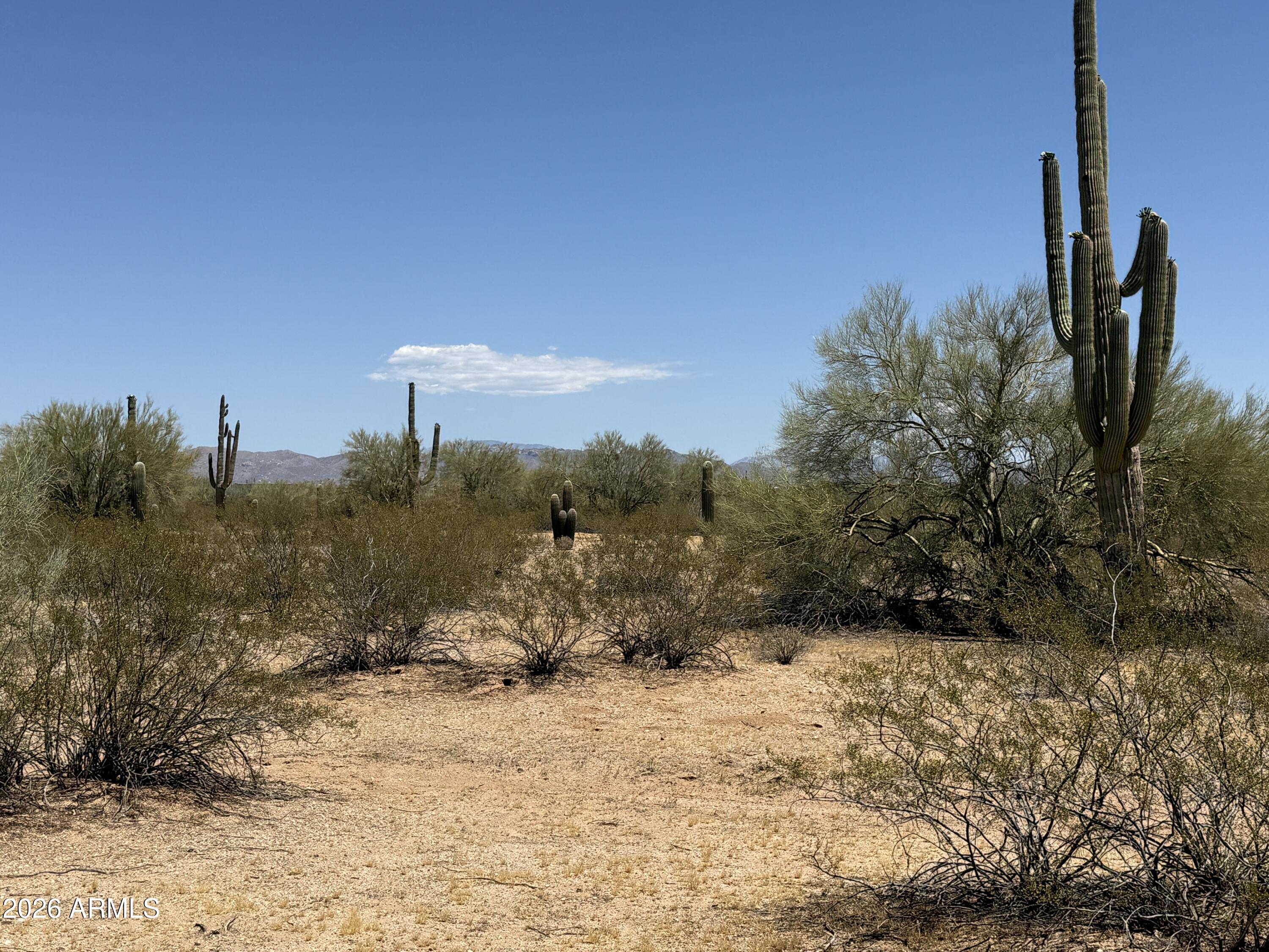 Lot 4 S Cactus Garden Way 4, Marana, AZ 85653 — Photo 1 of 13