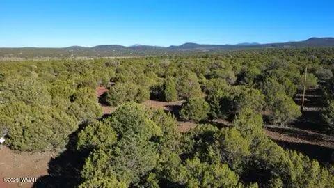 10 county road n 3071, Vernon, AZ 85940