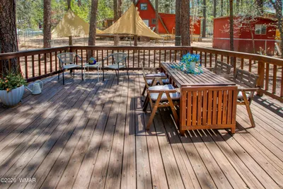 Thumbnail 61