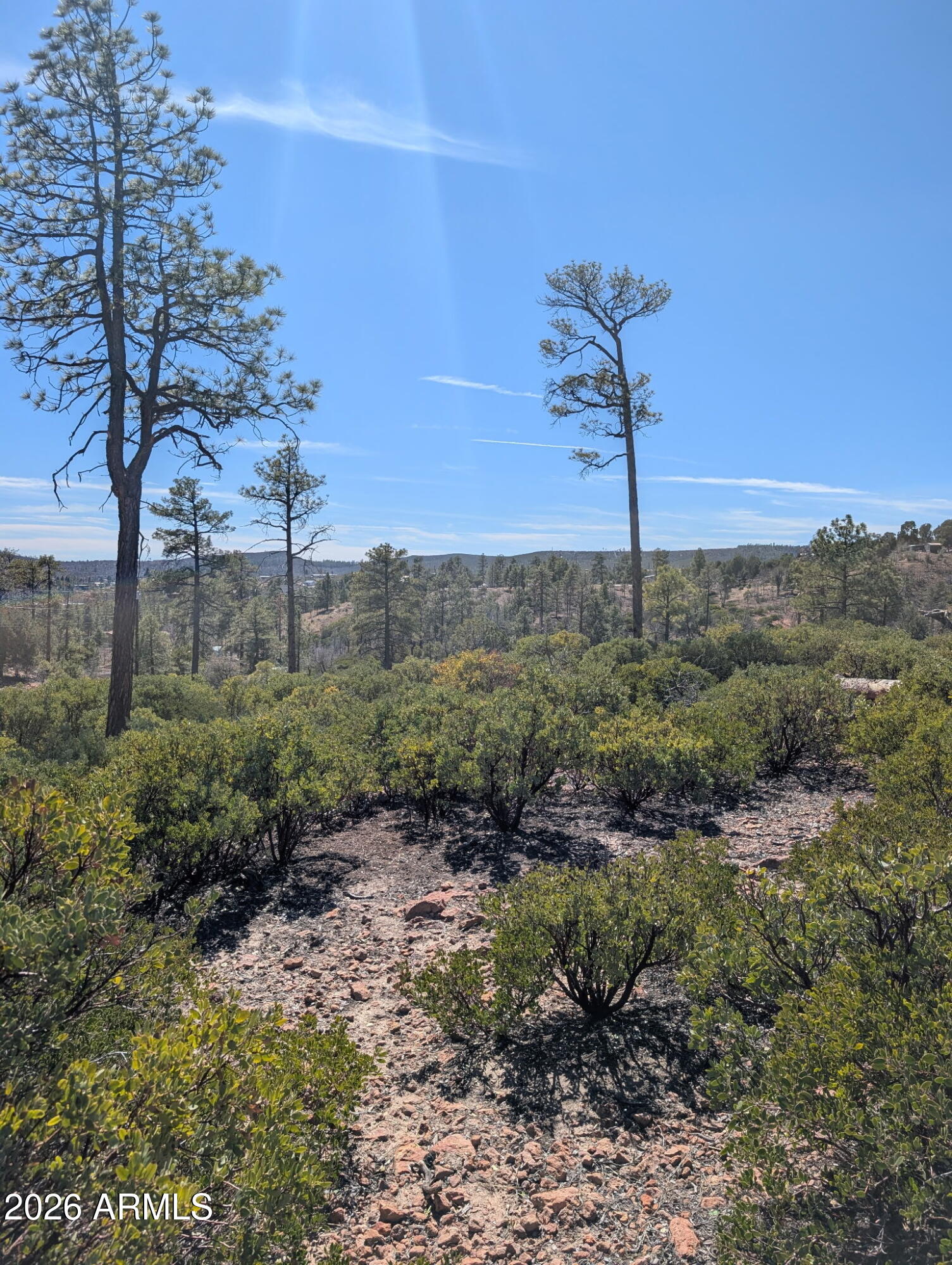 958 NAVAJO Trail 435, Show Low, AZ 85901 — Photo 1 of 17