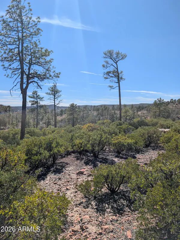 958 NAVAJO Trail 435, Show Low, AZ 85901
