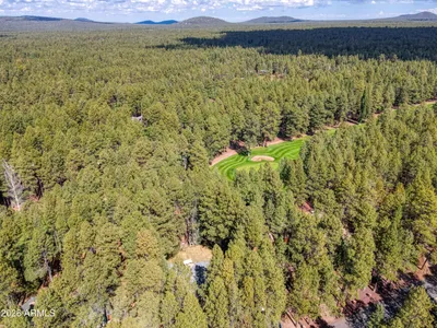 Thumbnail 80
