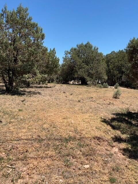 Lot 46 Park Rd, Payson, AZ 85541 — Photo 1 of 6