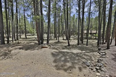 2682 Brahma Circle, Pinetop, AZ 85935
