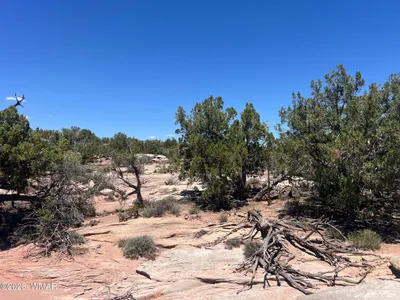 Thumbnail 54